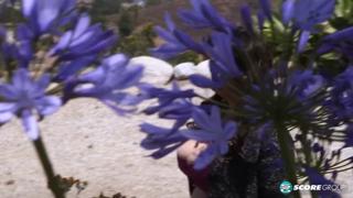 Rose Blush: Busty Hitchhiker with Huge Boobs Gets Licked by Strangers in the Dark