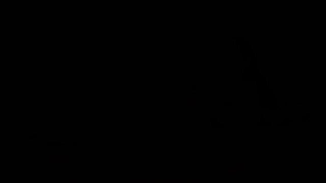 Victoria Sweet gets fucked by two hard cocks